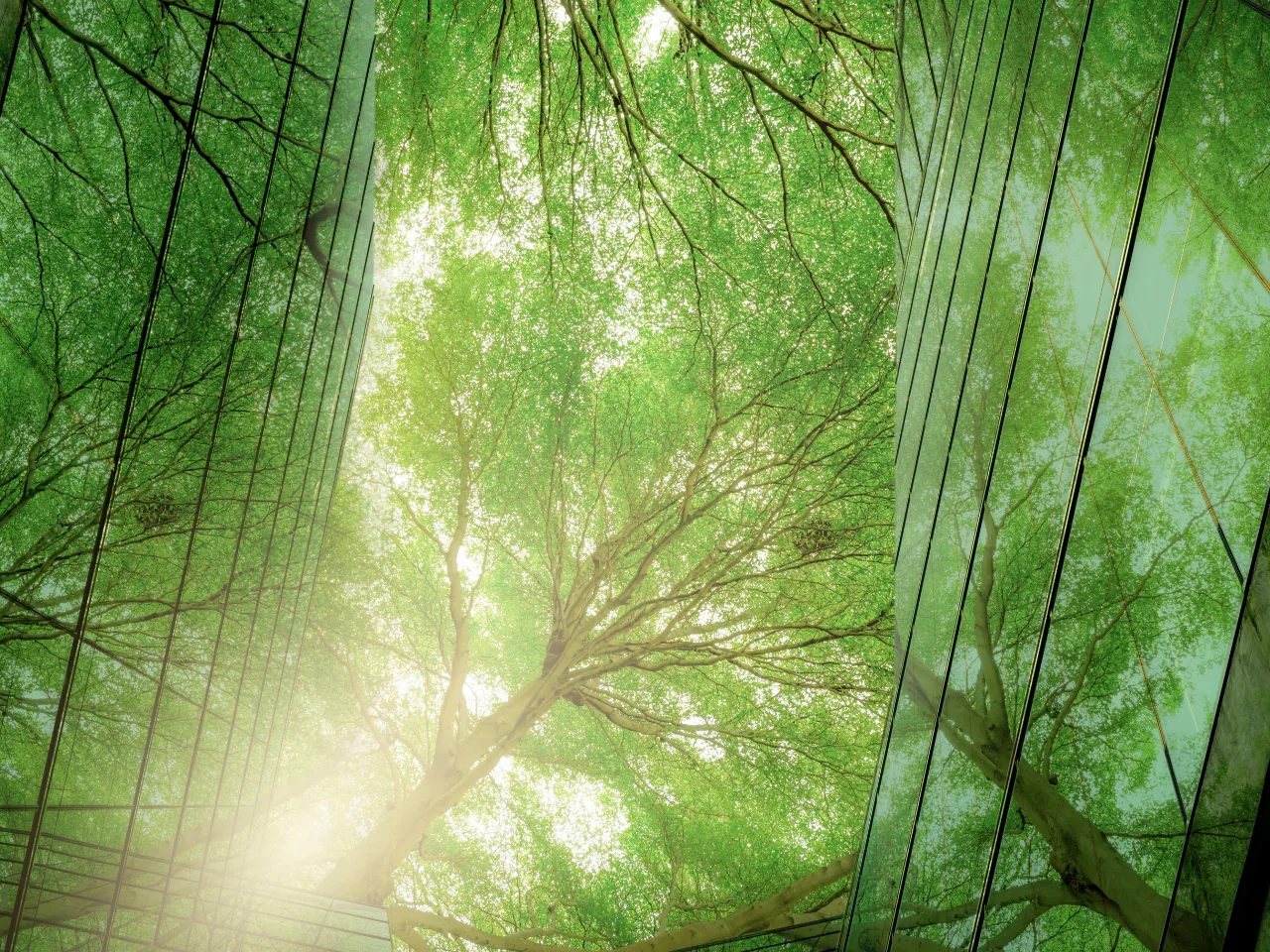Natural environment — biodegradable materials.